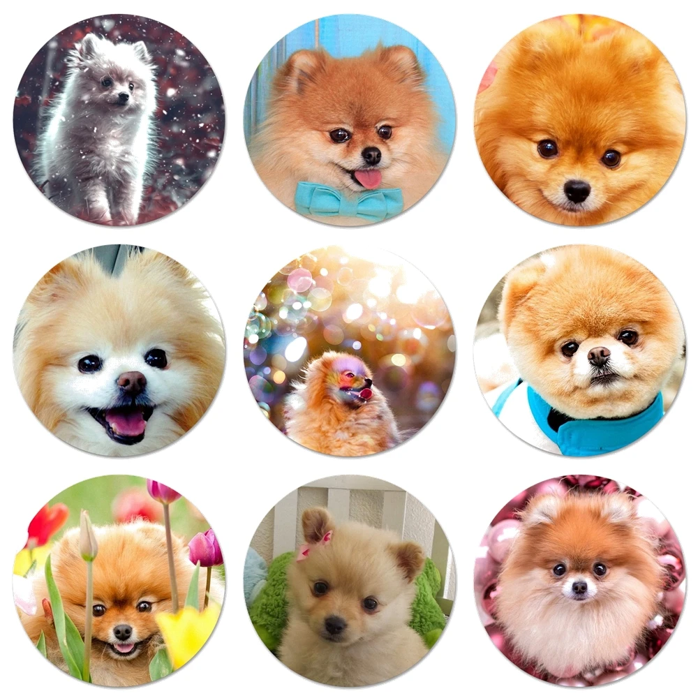 Значки для щенков померанского шпильки значки металлические детской модели 58