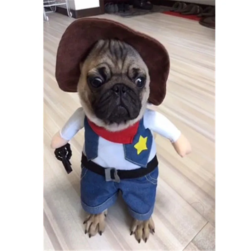Новинка 2019 зимний костюм для кошки ковбойские джинсы собаки толстовки с