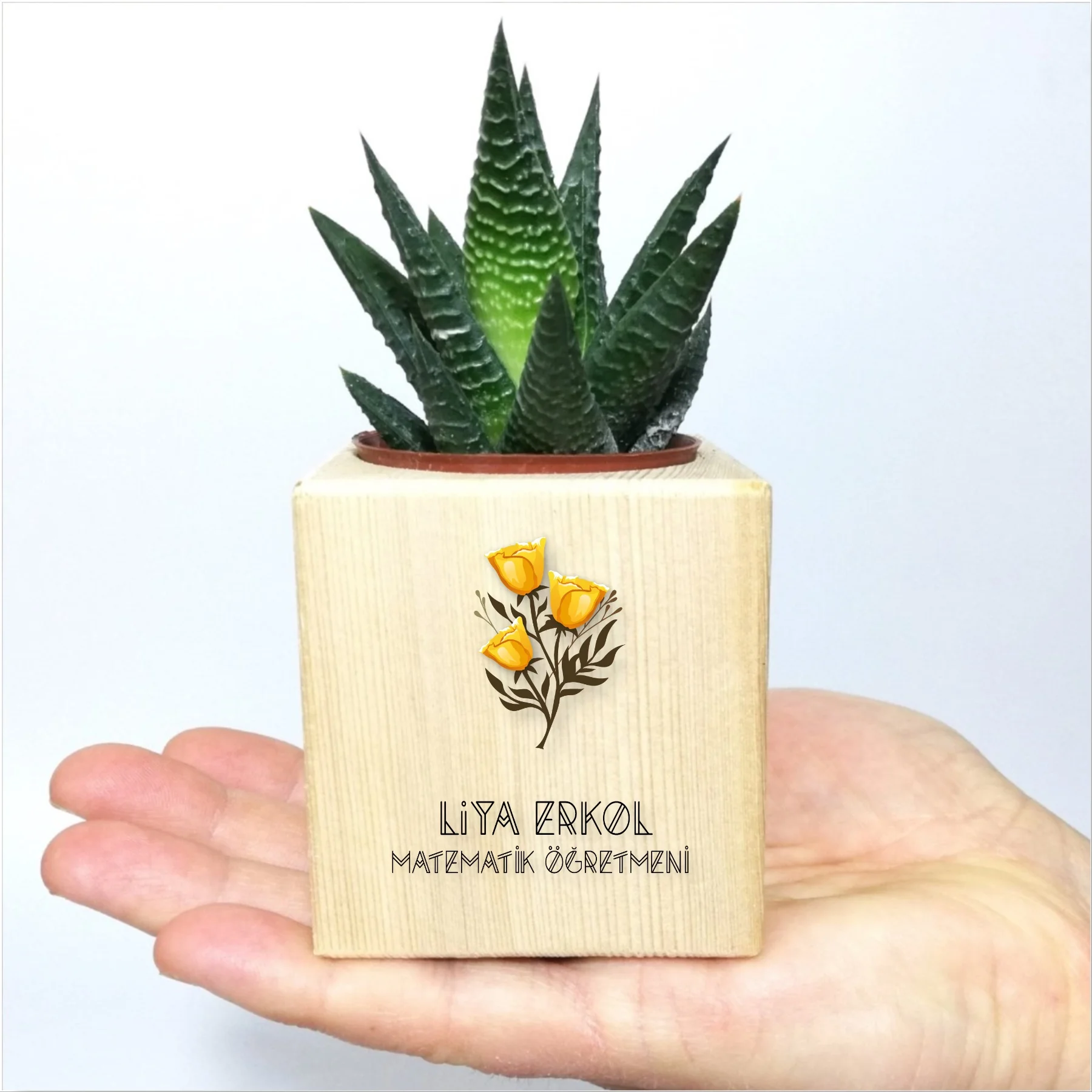 

Personalized Rose Themed Gift Sukulent -2 In Pots