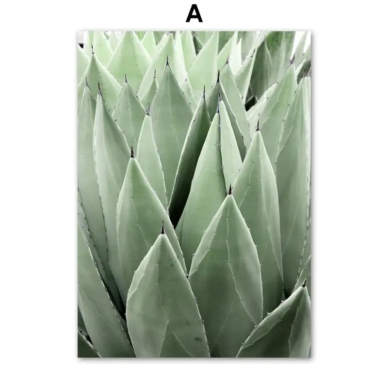 Настенная живопись на холсте кактус Агава растения листья абстрактные линии