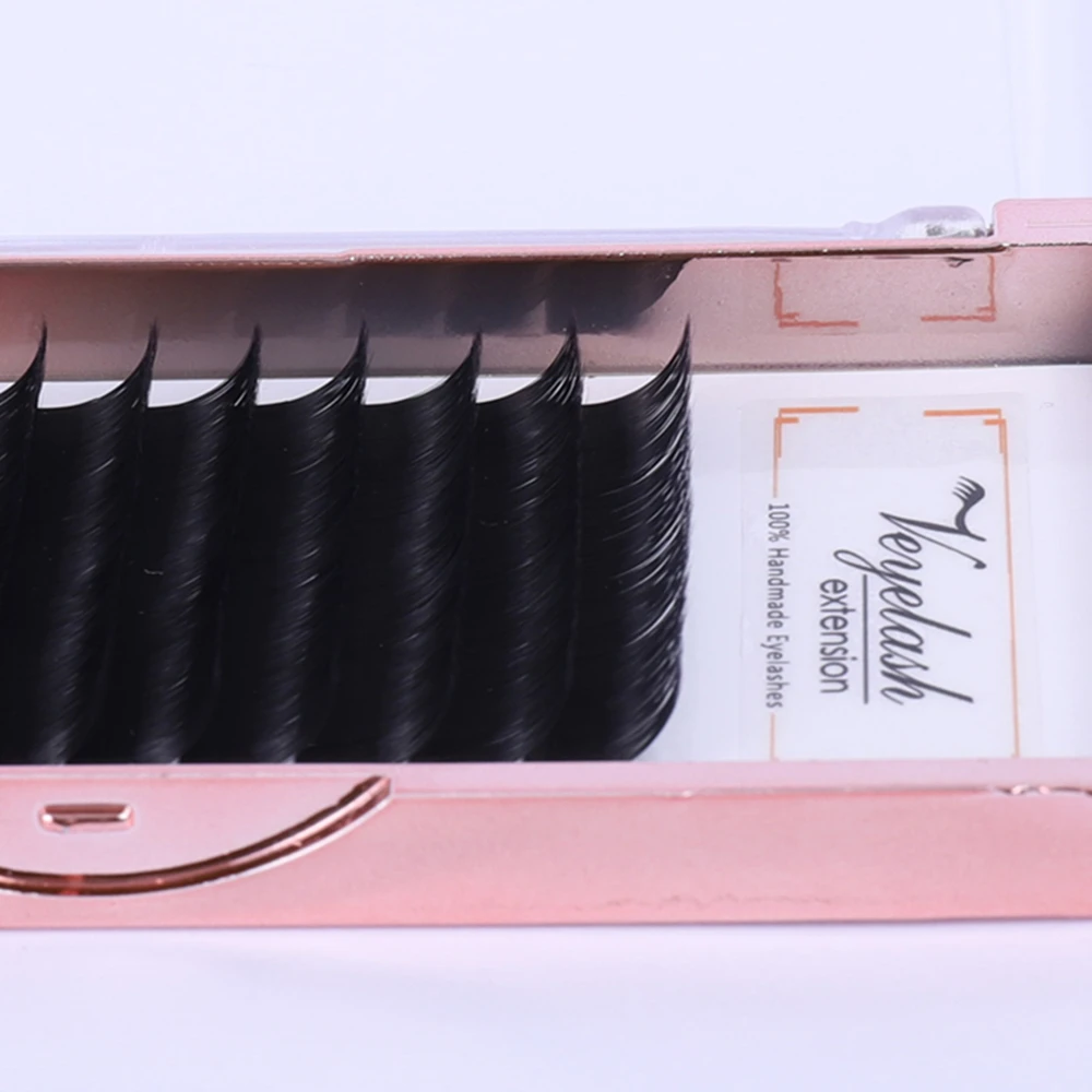 Lash 2019 новый дизайн 1 чехол все размеры C D curl ресницы Накладные норковые Черные