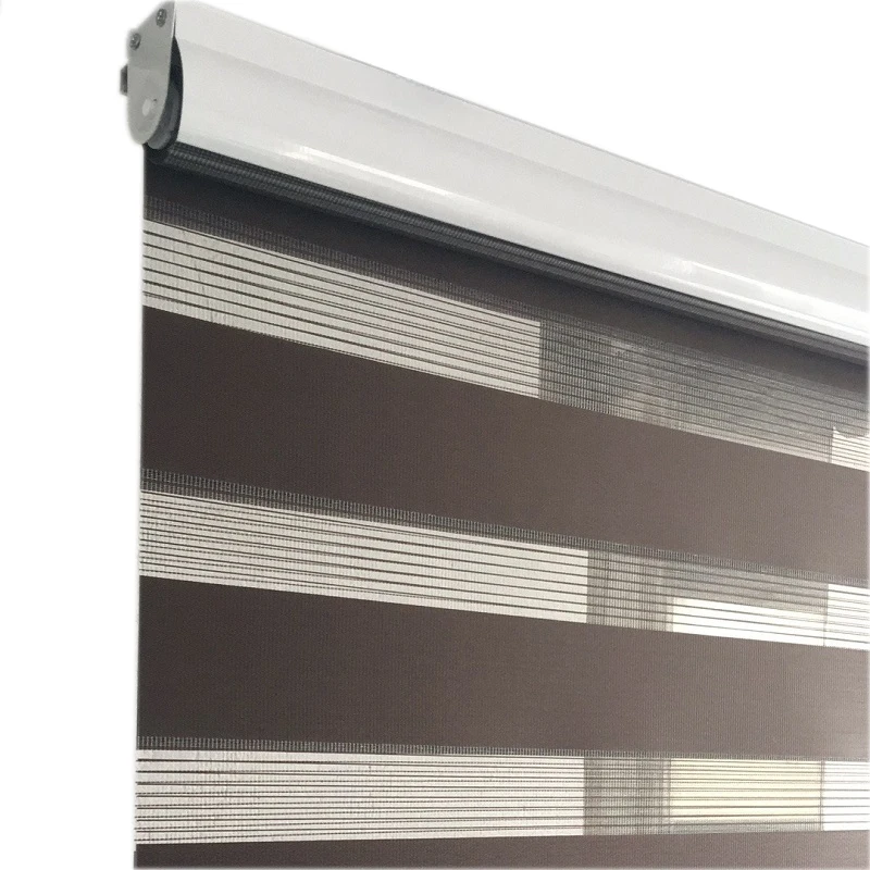 Затемненные жалюзи под зебру двухслойные с двойным слоем прозрачные Шторы или