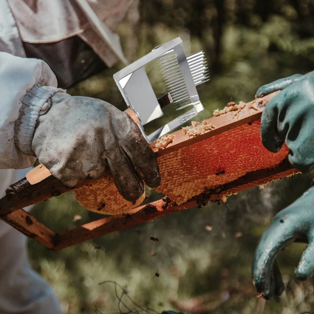 

1pc Honey Scraper Beekeeping Tool Honey Collection Tool Honey Scraper