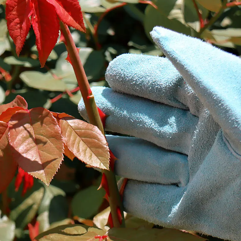 High Quality Anti Cut Gloves Safety Proof Stab Resistant Wire Metal Mesh Butcher Cut-Resistant Tactical Kitchen Gardening Gloves