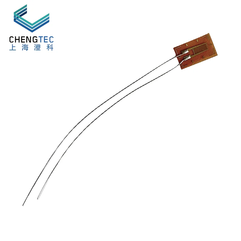 Датчик нагрузки 120-2 АА одноразовый подарок измеритель и давления 30 см |