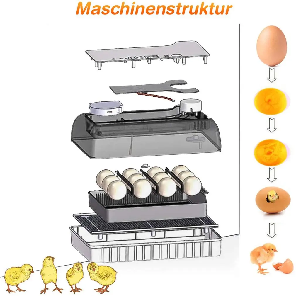 

Automatic Digital 12 Eggs Incubator Hatcher Large Capacity Practical Incubators For Chicken Poultry Quail Eggs Home Use