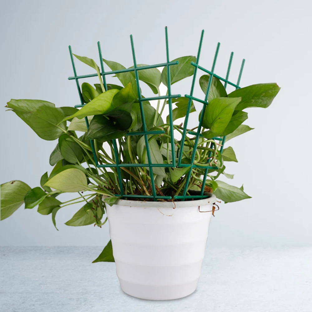 

6/50 PCS Greenhouses Frame Holder Planting Rack Fruit Support Plant Flower Climbing Vine Pillar Garden And Vegetable Garden