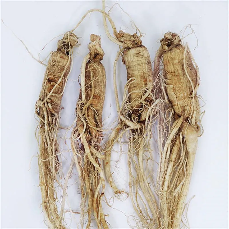 

high quality Ginseng Raw sundried ginseng 9 Years Root White Ginseng Non fumigated Ginseng Chines herbs Nourish