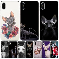 lavaza sphynx sphinx cat phone for apple iphone 13 pro max 11 12 mini case x xs xr 8 plus 7 6 6s se 2020 5 5s cover shell coque