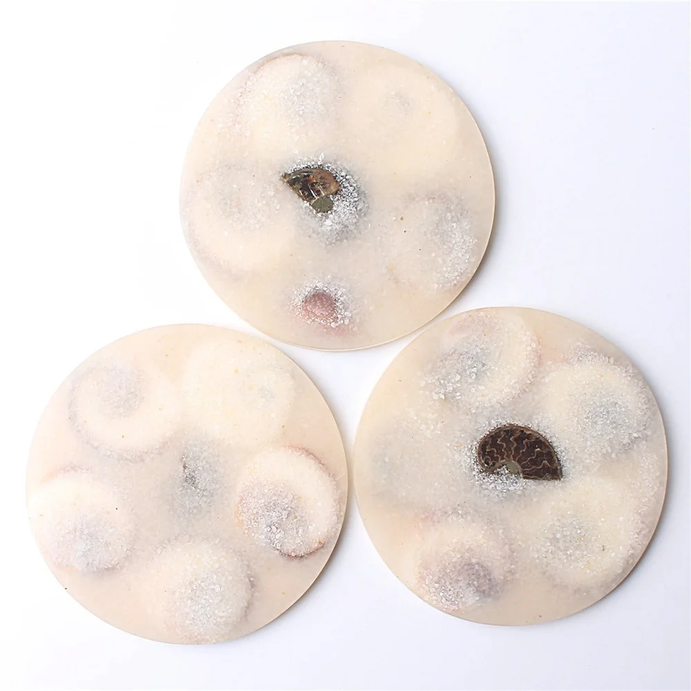 Диск из натуральной солнечной раковины 100-110 мм коллекция окаменелостей аммонита