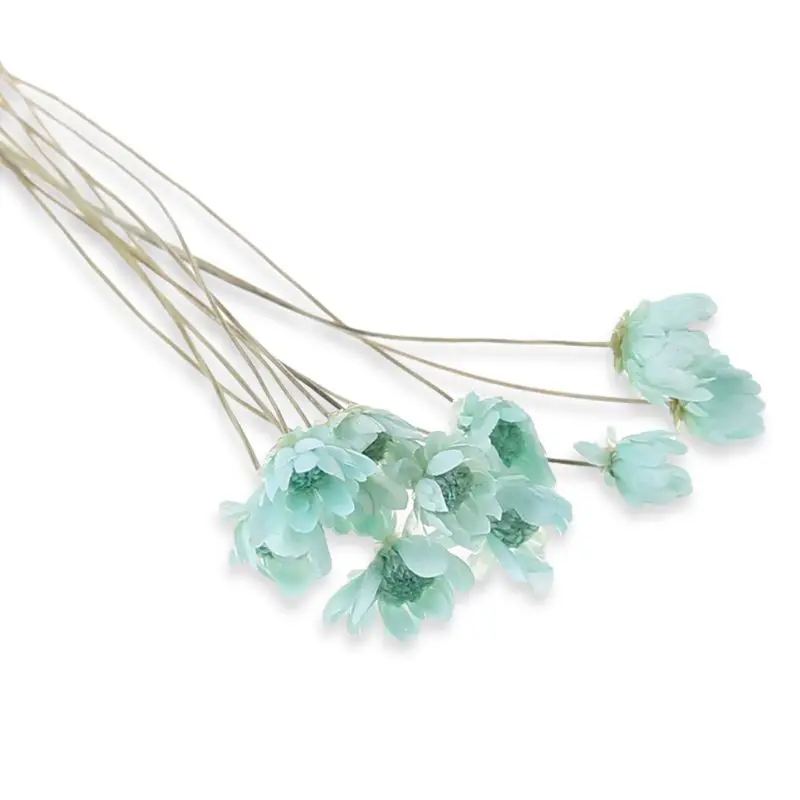 

12 pcs/pack Crystal Epoxy Mould UV Glue Mini Daisy Dried Flower Bracelet Ring Filler Nail Art Manual DIY Making Mobile Shell Cra