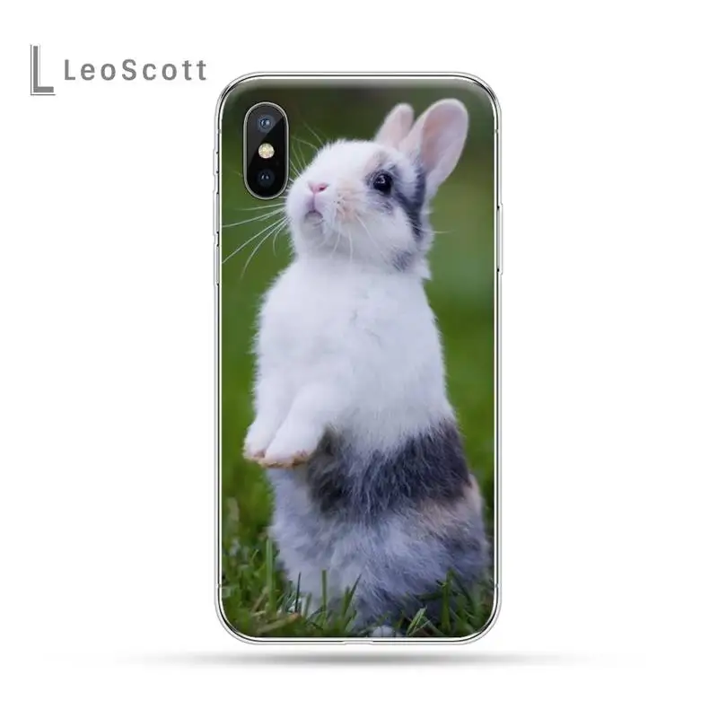 

Cute White Baby Rabbits Phone Case For iphone 12 5 5s 5c se 6 6s 7 8 plus x xs xr 11 pro max