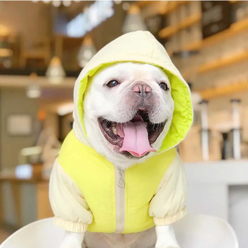 

Dog clothes pets new winter clothes cotton clothes method to fight Schnauzer than bear Shiba Inu winter clothes and Jackets