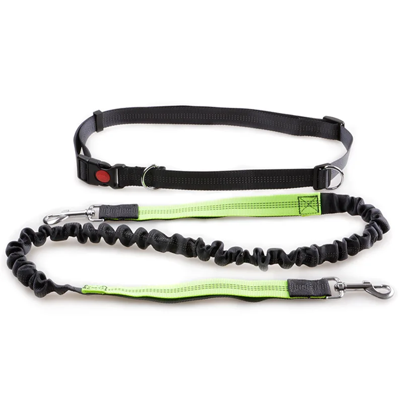 

Dog Reflective Leash Traction Rope Pet Dog Running Belt Elastic Hands Freely Jogging Pull Dog Leash Metal D-ring Leashes
