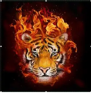 Набор для алмазной вышивки Северный Тигр и пламя|Алмазная мозаика вышивка| |