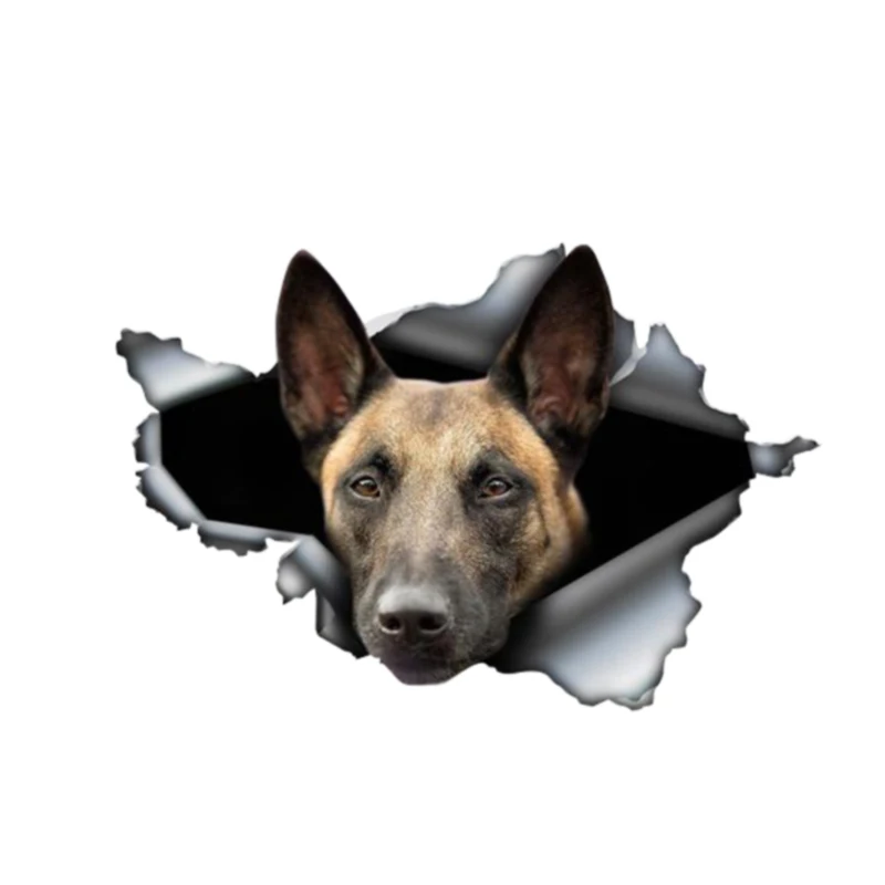 

13cm X 9cm Belgian Malinois Sticker Torn Metal Bumper Decal Funny Car Stickers Window Trunk Animal 3D Car Styling Car Decoration