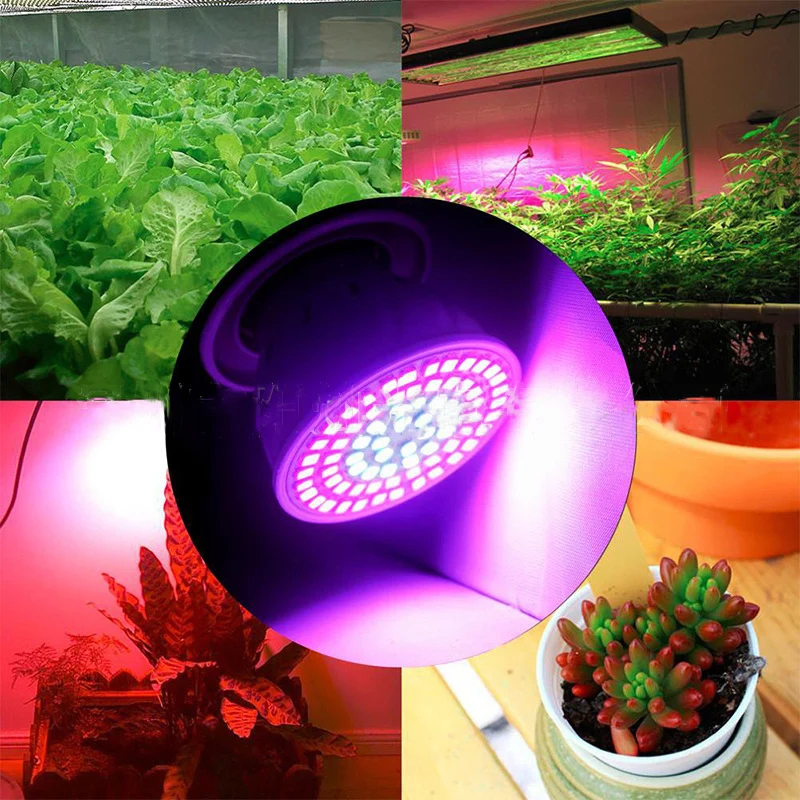 Goodland Phyto лампа полный спектр светодиодный светильник для выращивания растений