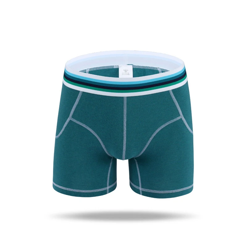 DSH2A J-BOX, 1 шт., мужское сексуальное нижнее белье, Cueca, хлопковые гей трусы-боксеры дышащие трусы, мужские трусы размера плюс, льняные Длинные боксеры, нижнее белье - Цвет: DSH2A