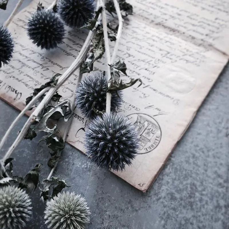 1 шт. натуральные сухие цветы для украшения дома | Дом и сад