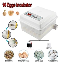 eggs incubator 16 eggs double power automatie incubatores with turner for hatching goose quail chicken eggs egg hatcher machine