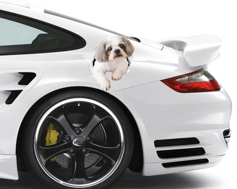 

Dogs Are Man's Most Loyal Friends. for Dog Lovers, and Of Course There Are Also Waterproof Dogs Stickers That Cover Scratches.