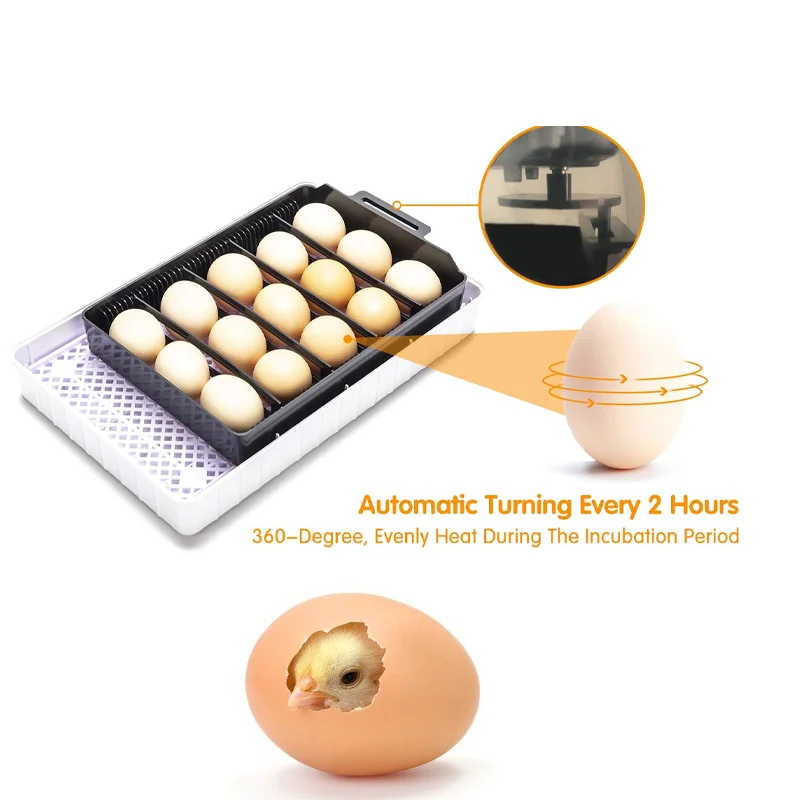 HHD инкубатор для яиц на ферме поворотный Брудер автоматическая инкубационная