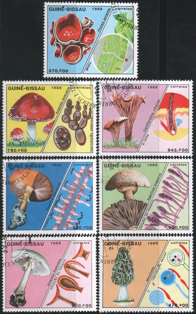

7Pcs/Set Guinea-Bissau Post Stamps 1988 Mushroom Used Post Marked Postage Stamps for Collecting