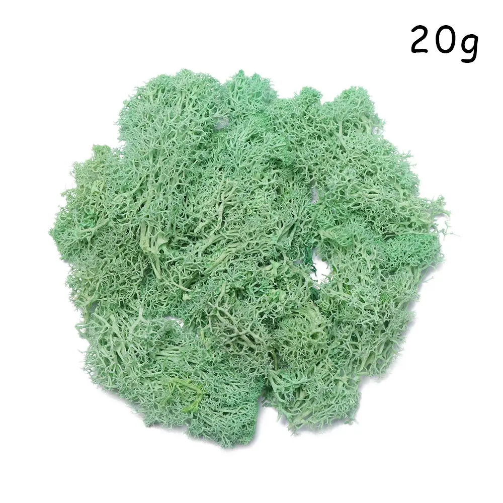 Grass green Микро пейзаж натуральный норвежский олень мох предварительно просушенный искусственный цветок Stamen Свадебные украшения DIY украшения дома - Цвет: Grass green