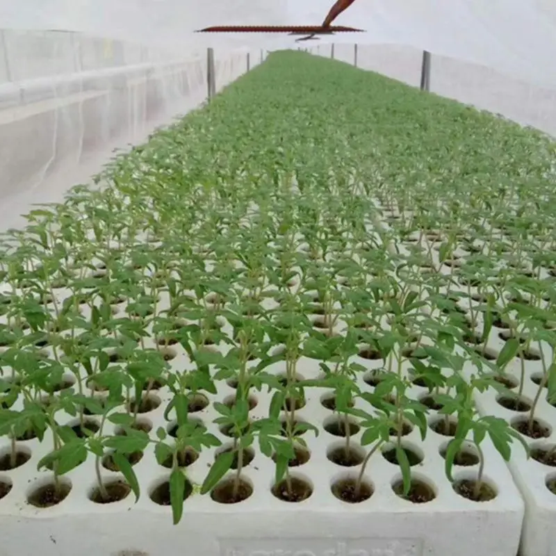 

Rockwool Grow Plug Soilless Cultivation Starter Plug Plant Growing Cylindrical Seedling Germination for Hydroponic Grow Media