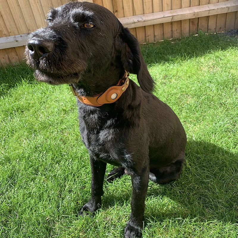 CAWAYI питомник ошейник для маленьких средних собак воздушный ярлык аксессуары