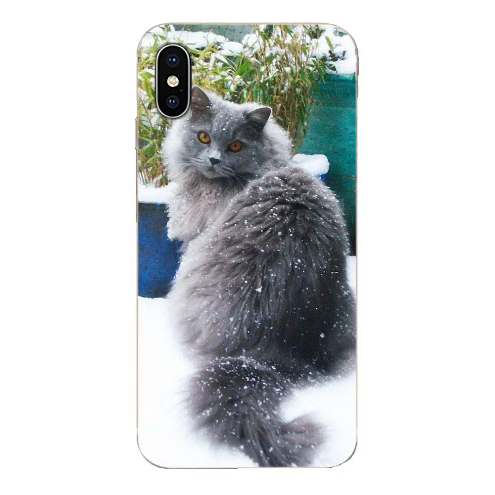 Gray Cat Lovely Animal Soft Tpu Phone Case For Sony Xperia Z Z1 Z2 Z3 Z4 Z5 compact Mini M2 M4 M5 T3 E3 E5 XA XA1 XZ Premium | Мобильные