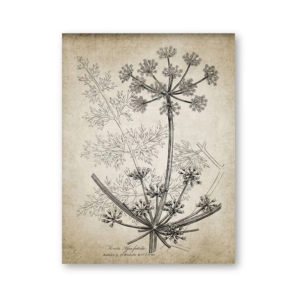 

Винтажные ботанические плакаты на холсте aooins