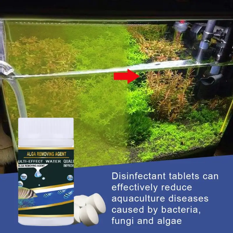 Таблетки для очистки водорослей 50 шт. | Дом и сад
