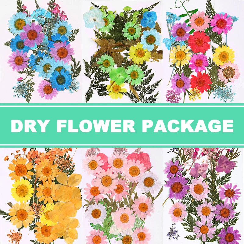 

Pressed Flower Mixed Dried Flowers DIY Art Floral Decors Collection Gift Craft DIY RE