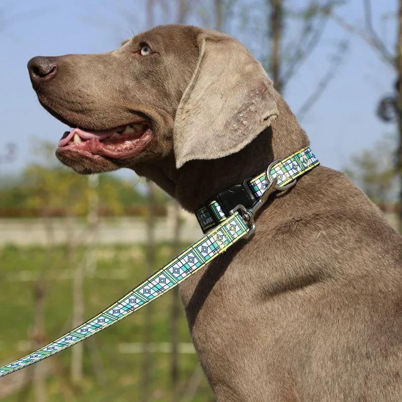 150 см утолщенный металлический крюк Дизайн Роскошный собачий ошейник и поводок