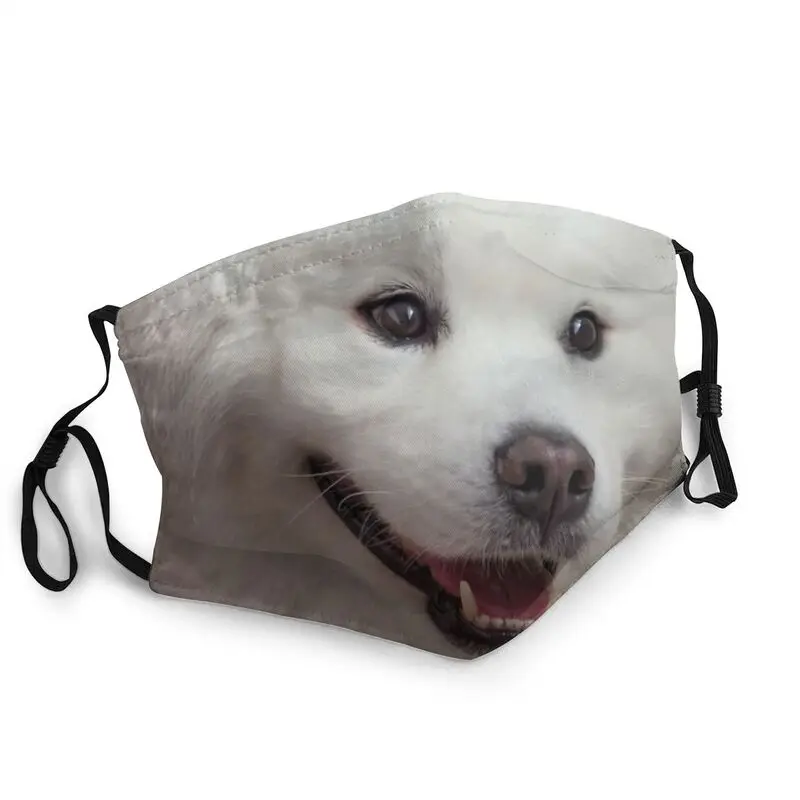 

Beautiful Samoyed Dog Mask Breathable Unisex Adult Animal Pattern Mouth Face Mask Dustproof Protection Cover Respirator Muffle
