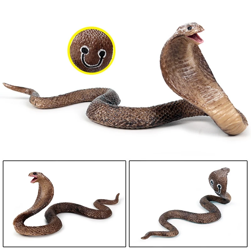 Simulation Reptile Model Cobra Snake Amphibious Spectacles Kingsnake Tidy Toy Ornaments |