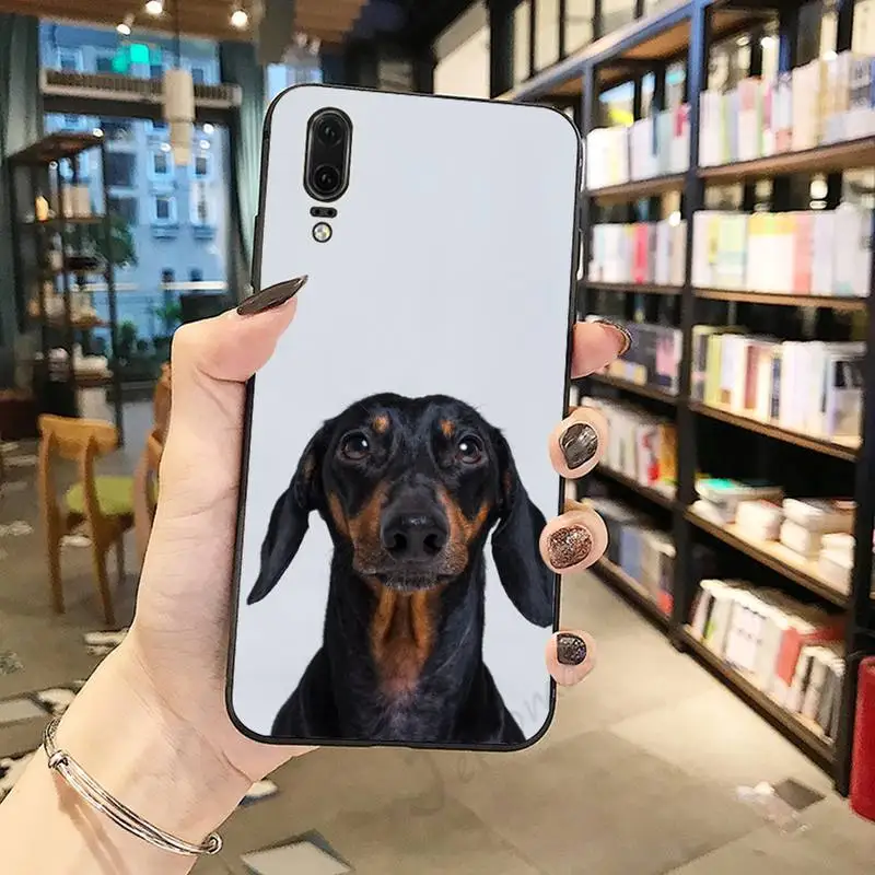 

Dachshund Cute dog Phone Case For Huawei honor Mate P 10 20 30 40 Pro 10i 9 10 20 8 x Lite