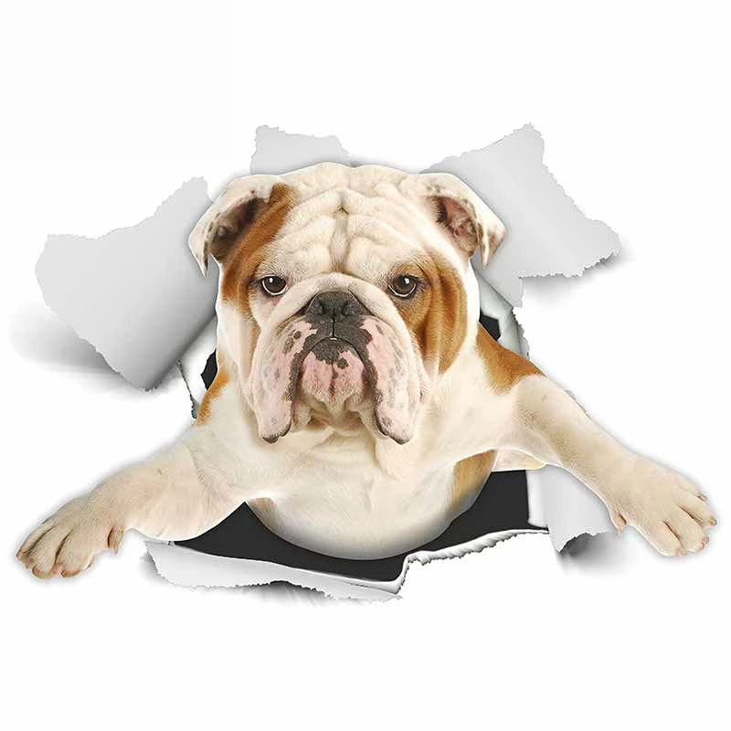 

Realistic 3D Visual Personalized Fashion Stickers Used for Car Motorcycle Wall Furniture Waterproof Vinyl KK PVC 13cm X 8cm