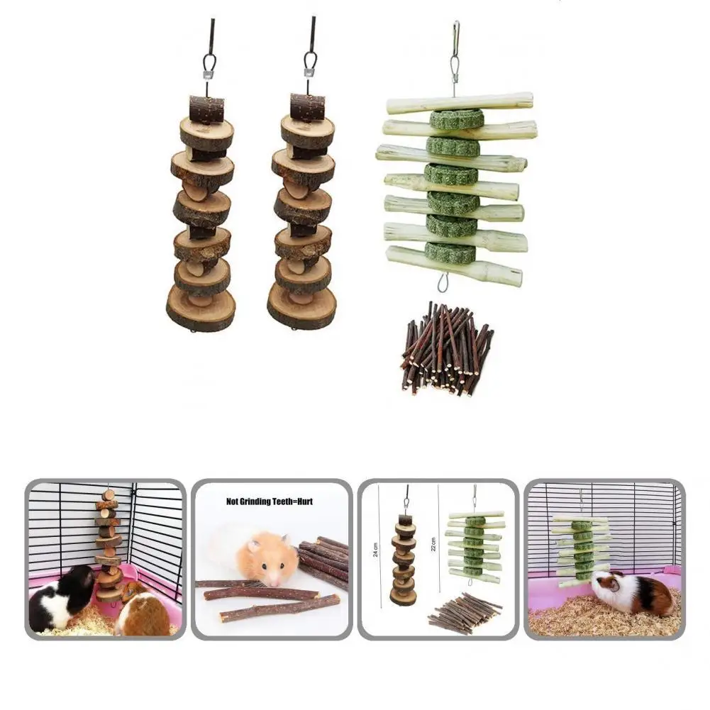 

Шлифовальные зубы, компактный снимающий напряжение, жевательные шампуры, игрушка для Chinchillas