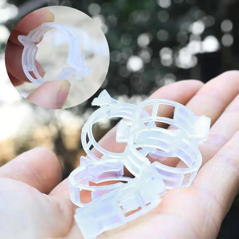 

50/100pcs Plastic Plant Clips Supports Connects Reusable Protection Grafting Fixing Tool Gardening Supplies for Vegetable Tomato