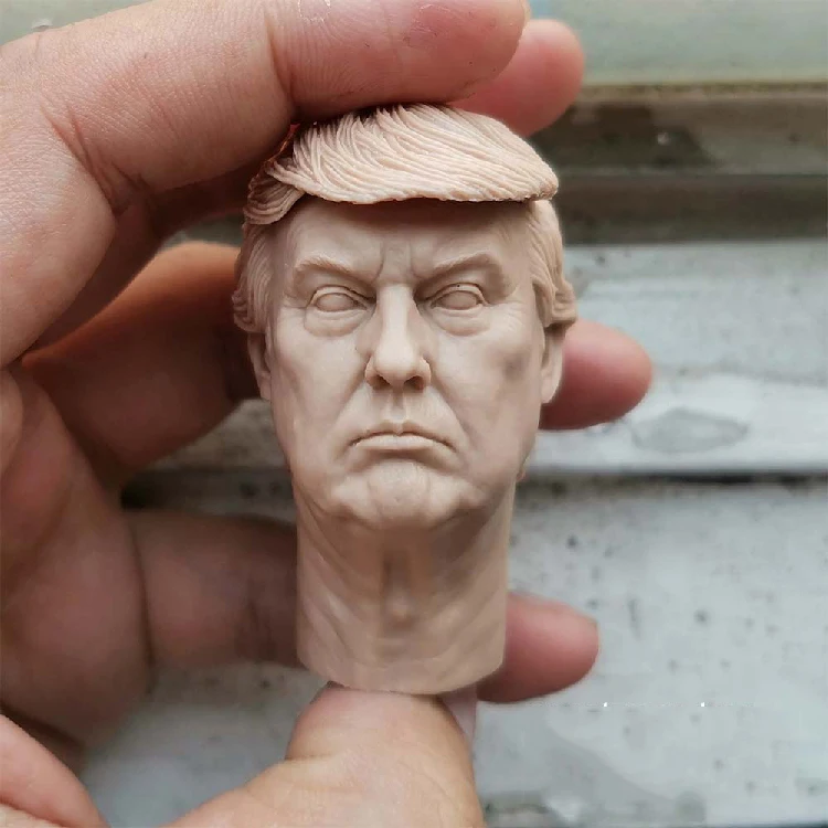 

Неокрашенные модели головы, коллекции подарков, 1/6 год