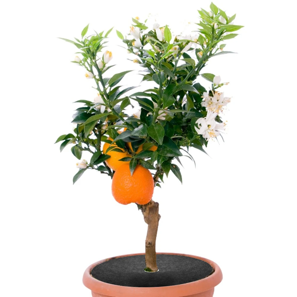 

10pcs Mulch Block Degradable Round Tree Outdoor Garden Ground Cover Barrier Mat Orchard Moisturizing Weed Barrier Mulch Tree Mat