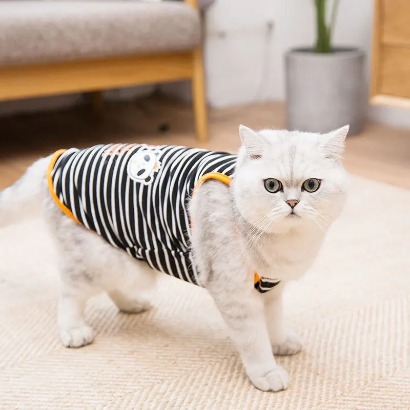 

celebrity kitten clothes pet cat fashion brand spring and summer thin cute vest type English short blue cat summer pets clothes