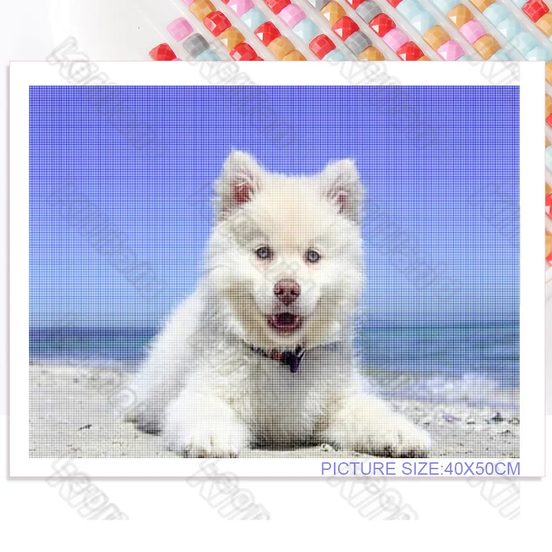 

Diy Diamond Decoration Painting Cute and Beautiful Puppy Square Diamond Round Diamond Customizable Wall Art Decoration