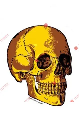

Terror Cool Gold Human Skull Kulture Vinyl Vulgar Car Sticker/Decal By