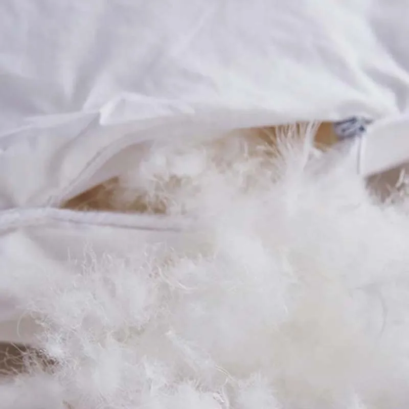 

White Goose Down Quilt Thick and Warm Full Core 2~5kg Down Quilt Duvet King Queen Twin Size Winter Blanket Comforter Filler