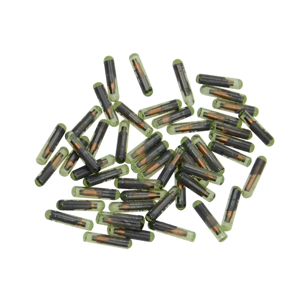 

10pcs/lot Car Key Chip Blank OEM ID48 Chip Auto Transponder Chip Glass ID 48 Unlock Chip For V W Seat Skoda For Audi