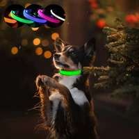 Светодиодный ошейник для собак с Usb-зарядкой, светящееся ожерелье из нейлона с подсветильник кой, ночная безопасность