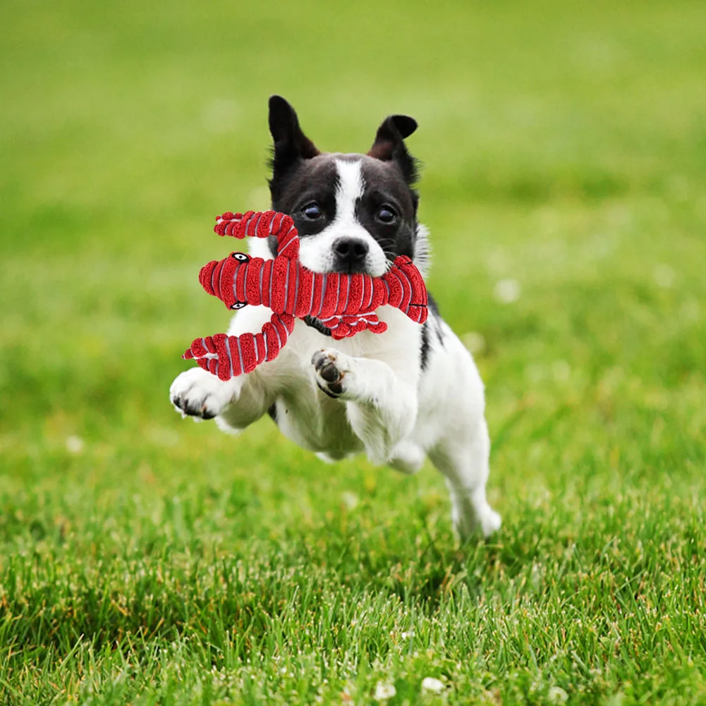 1 шт. плюшевая игрушка пищалка для собак и щенков|Игрушки собак| |